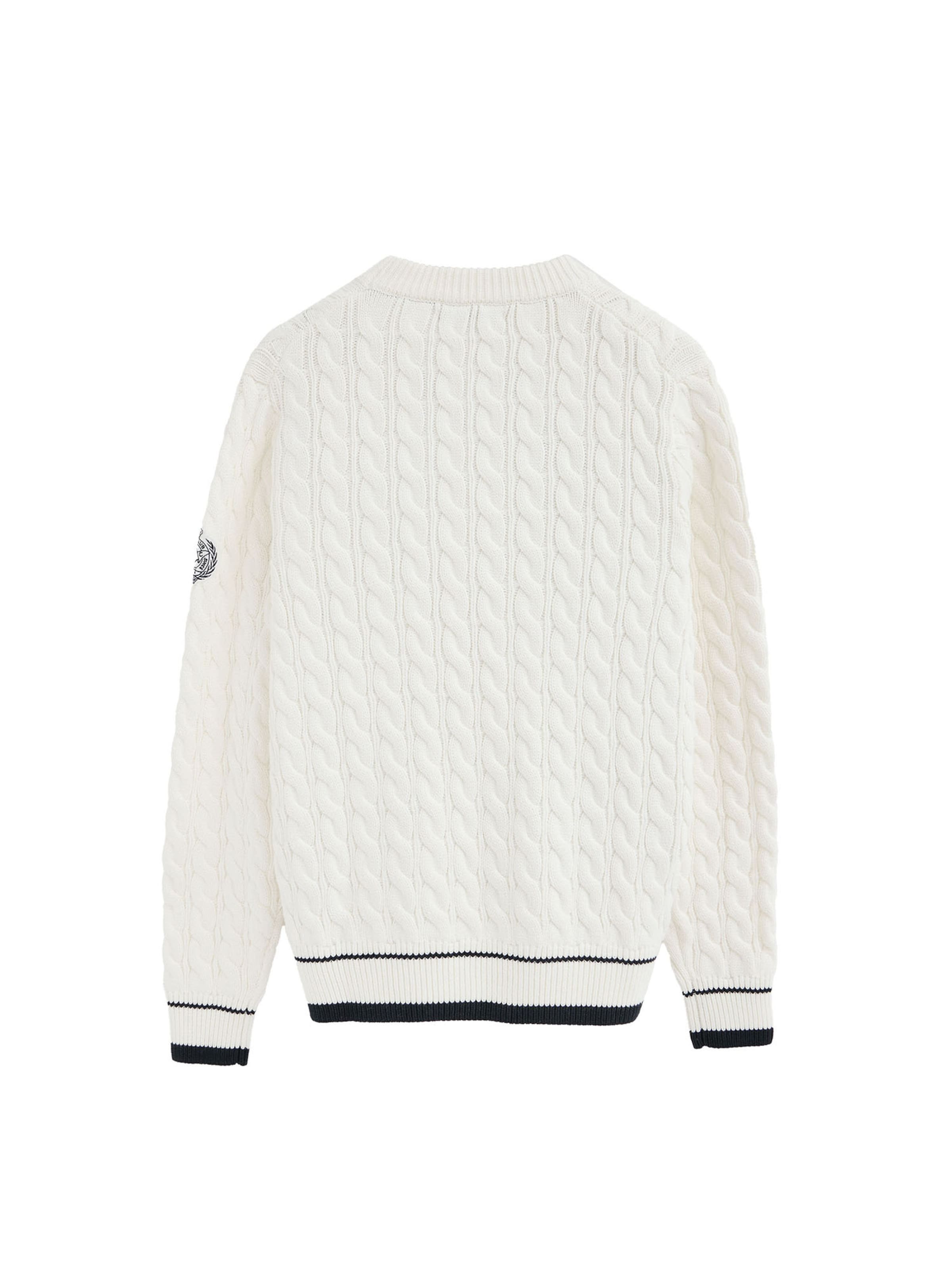 Polo Club Pullover in Braun