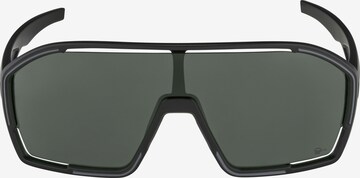 Alpina Sports Glasses 'BONFIRE Q-LITE' in Black: front