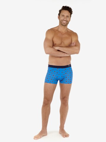 HOM Boxershorts ' Sugiton ' in Blauw