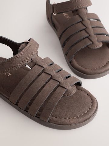 Sandalo di Next in marrone