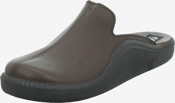 Westland Slippers 'Monaco' in Brown: front