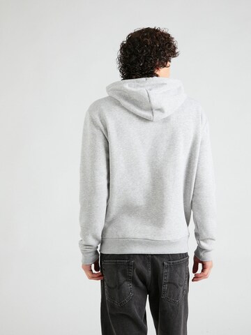 Sweat-shirt HOLLISTER en gris