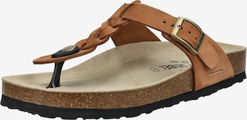 JOSEF SEIBEL Zehentrenner in Braun: Vorderseite