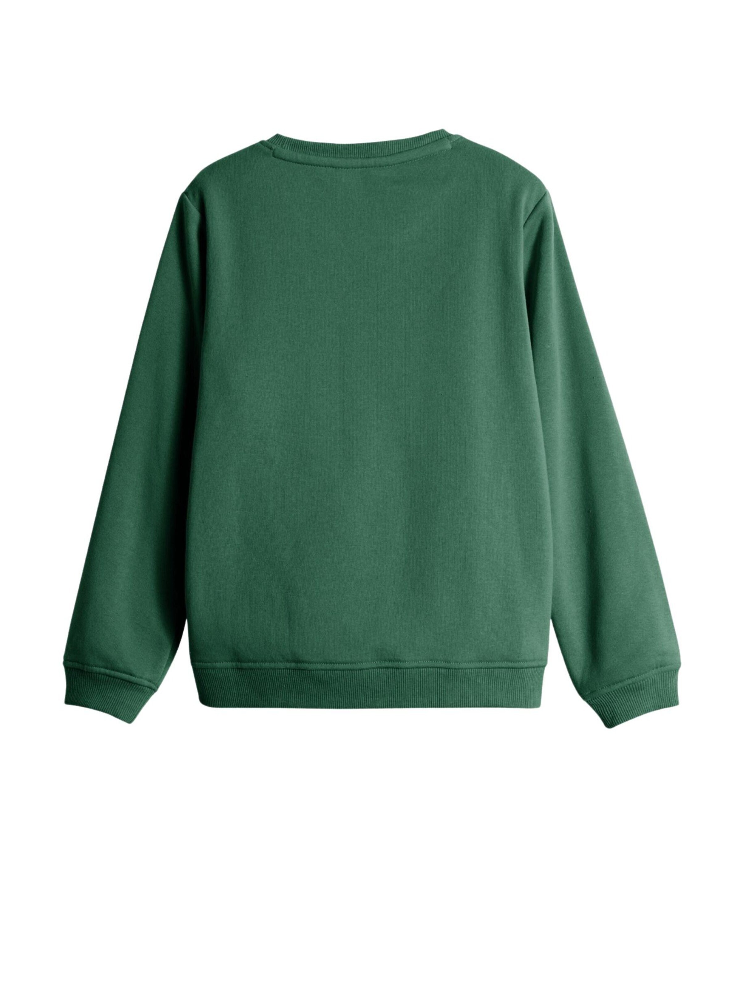 Copenhagen Legacy Sweatshirt 'Crew' in Groen