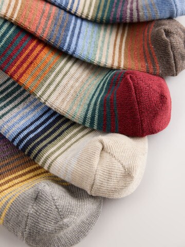 Next Socks in Mixed colours