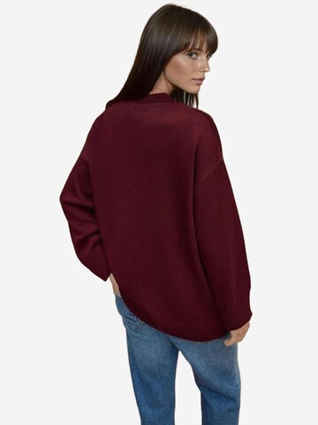 Hiccup Sweter w kolorze czerwony