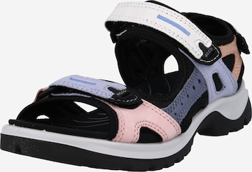 ECCO Trekking sandal 'Offroad' in Purple: front