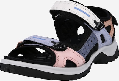 Sandale trekking 'Offroad' ECCO pe albastru porumbel / mov lavandă / roz pal / negru / alb murdar, Vizualizare produs