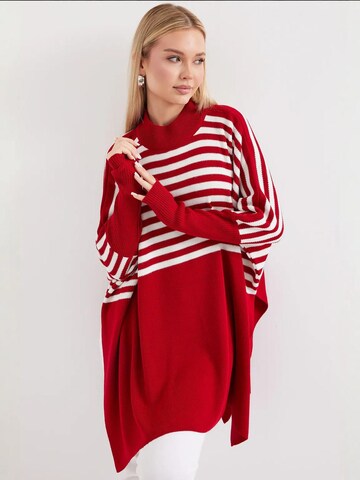 Bigdart Trui in Rood