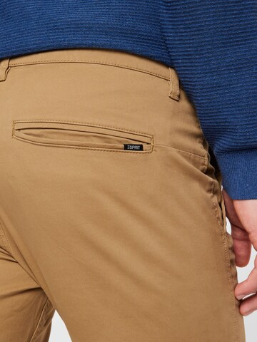 Slimfit Pantaloni chino di ESPRIT in marrone