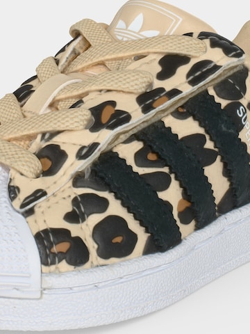 ADIDAS ORIGINALS Σνίκερ 'SUPERSTAR II' σε μπεζ