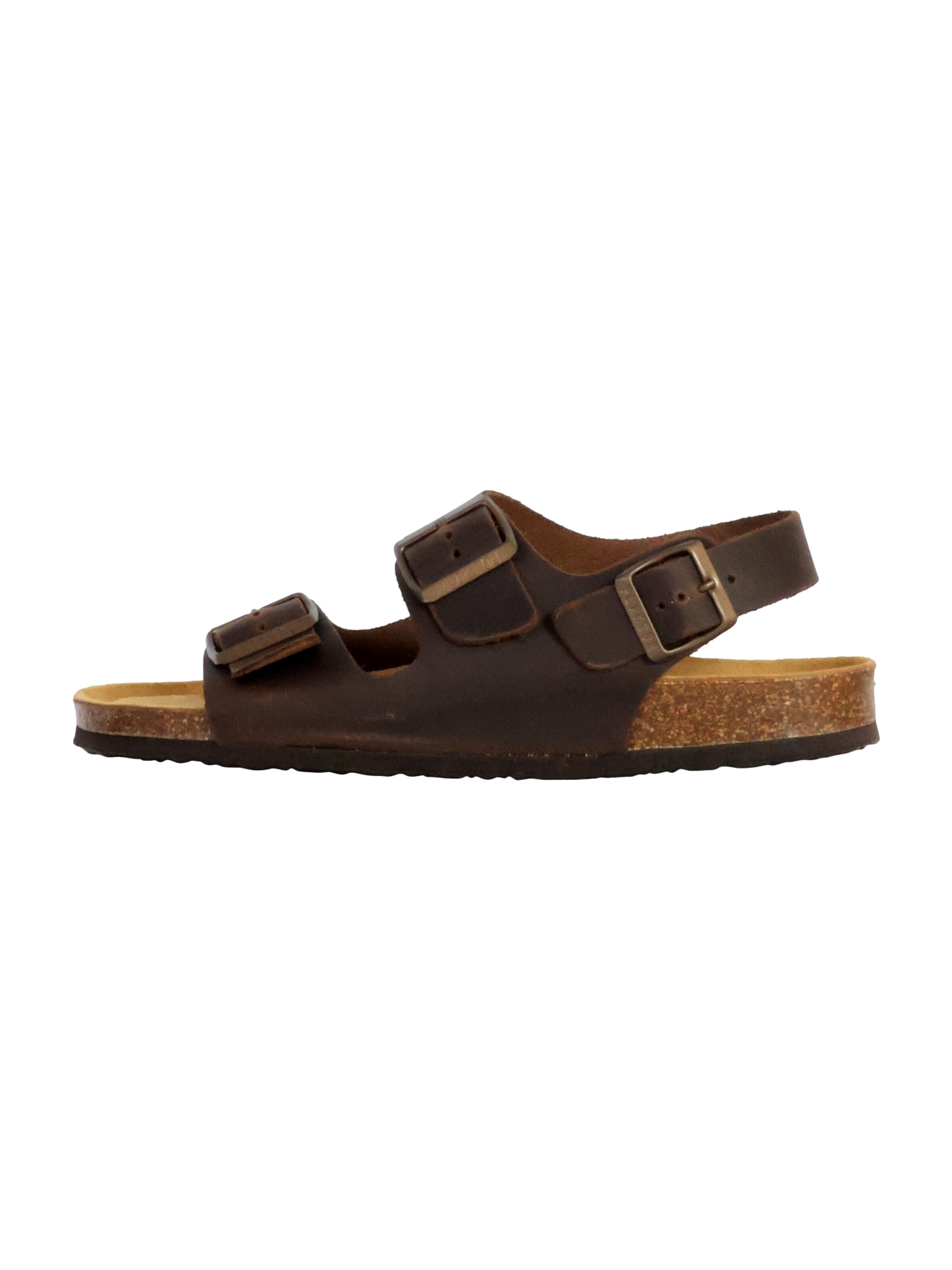 Zoccoletto di Plakton in marrone: frontale