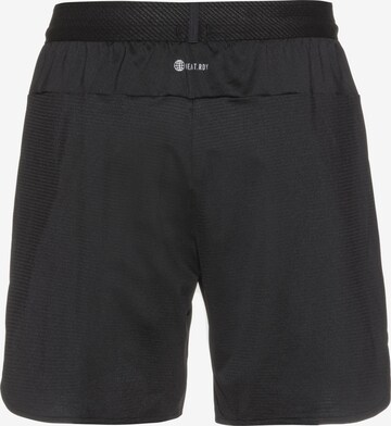 ADIDAS SPORTSWEAR Regular Shorts in Schwarz
