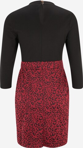 Dorothy Perkins Petite Kleid in Rot