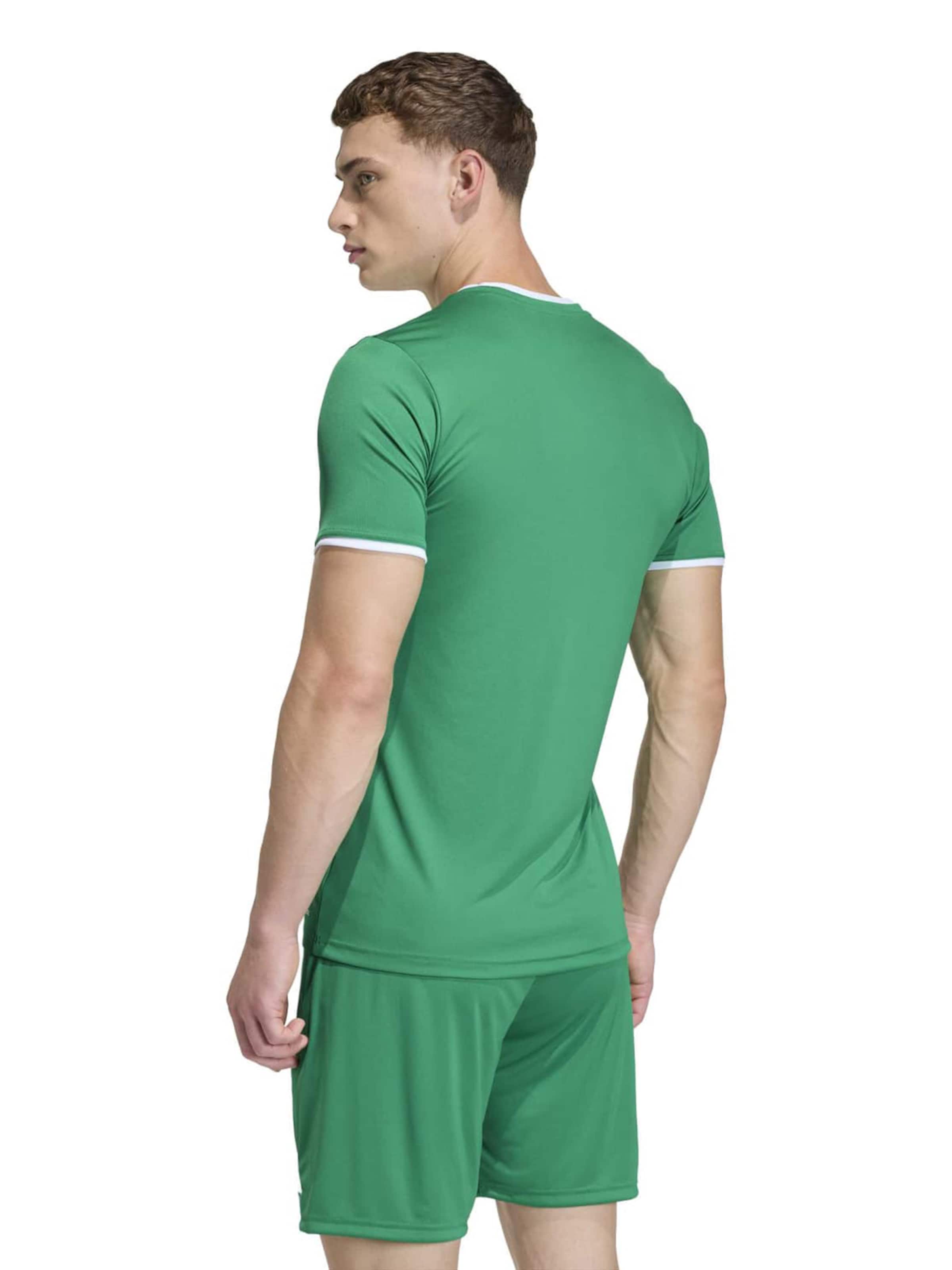 ADIDAS PERFORMANCE Performance shirt 'ENT26' in Green