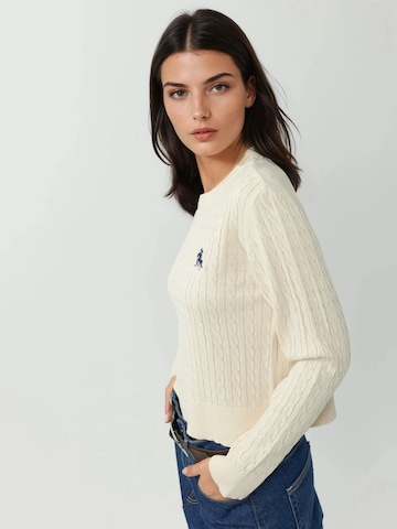 Pull-over 'Pullover' Hiccup en blanc