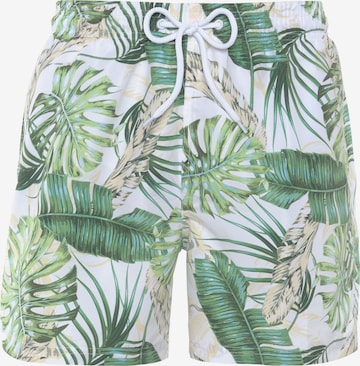 Shorts de bain s.Oliver en vert : devant