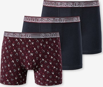 SCHIESSER Underpants ' 95/5 ' in Mixed colors: front