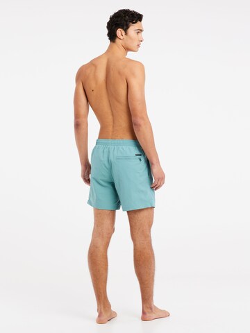 PROTEST Badeshorts 'FAST' in Grün