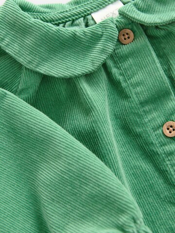 Next Kleid in Grün