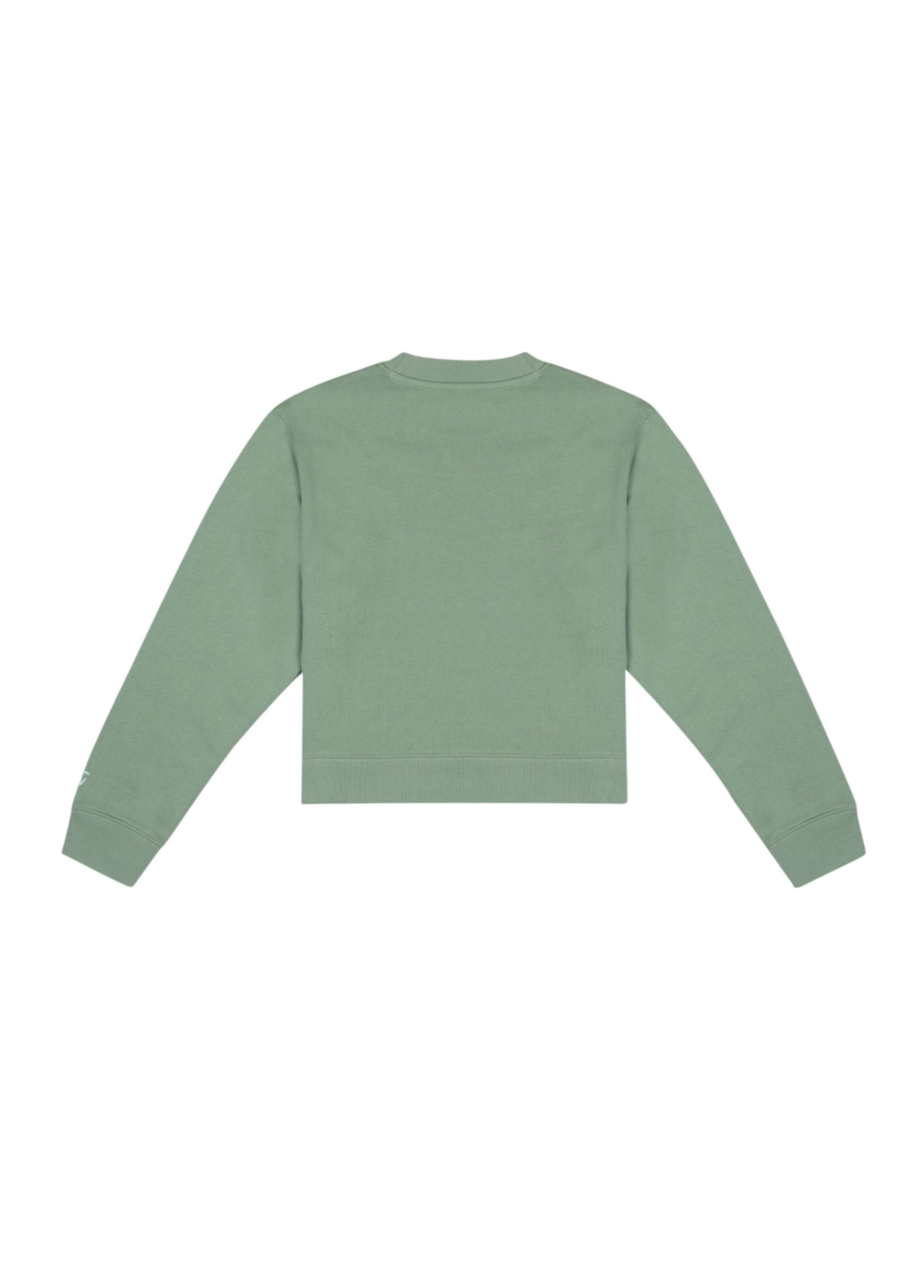 BASSIGUE Sweatshirt in Grün