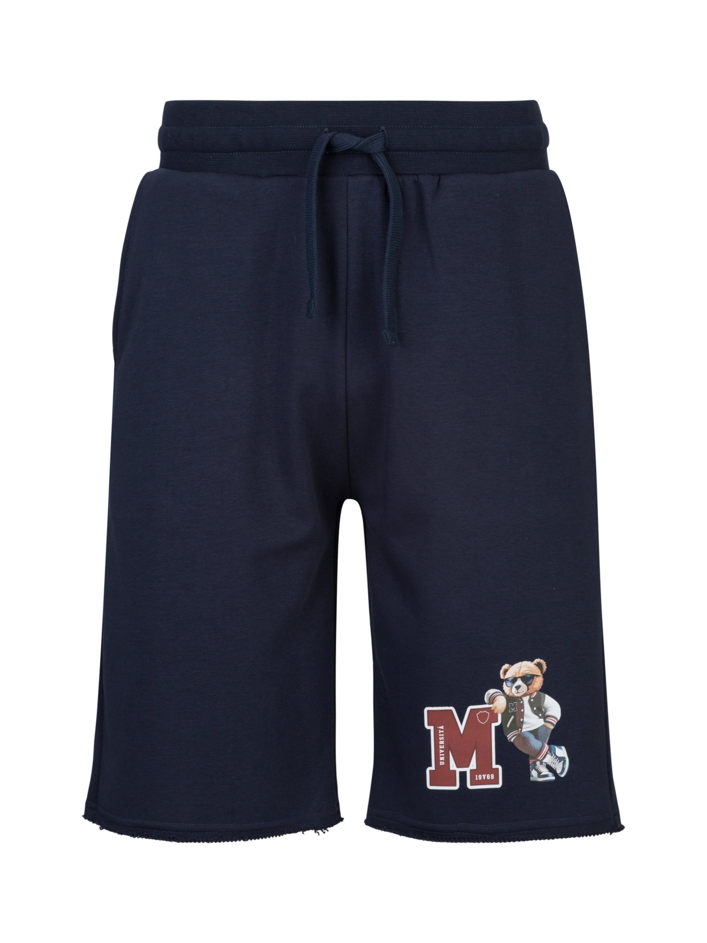 Pantalon 'MEO' 19V69 ITALIA en bleu : devant