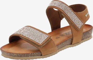 IGI&CO Strap Sandals in Brown: front