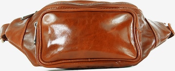 Sacs banane 'TINO' lePelou en marron : devant