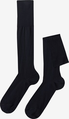 CALZEDONIA Knee High Socks in Blue: front