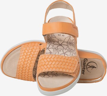 Ganter Sandals in Orange