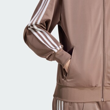 Hanorac 'Adicolor Classic Firebird' de la ADIDAS ORIGINALS pe maro