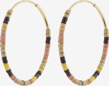 zelts Pilgrim Auskari: no priekšpuses