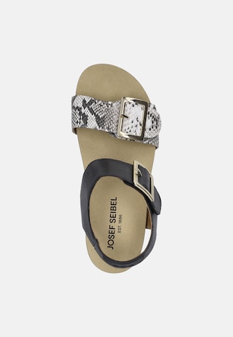 JOSEF SEIBEL Sandal 'QUINN 02' in Black