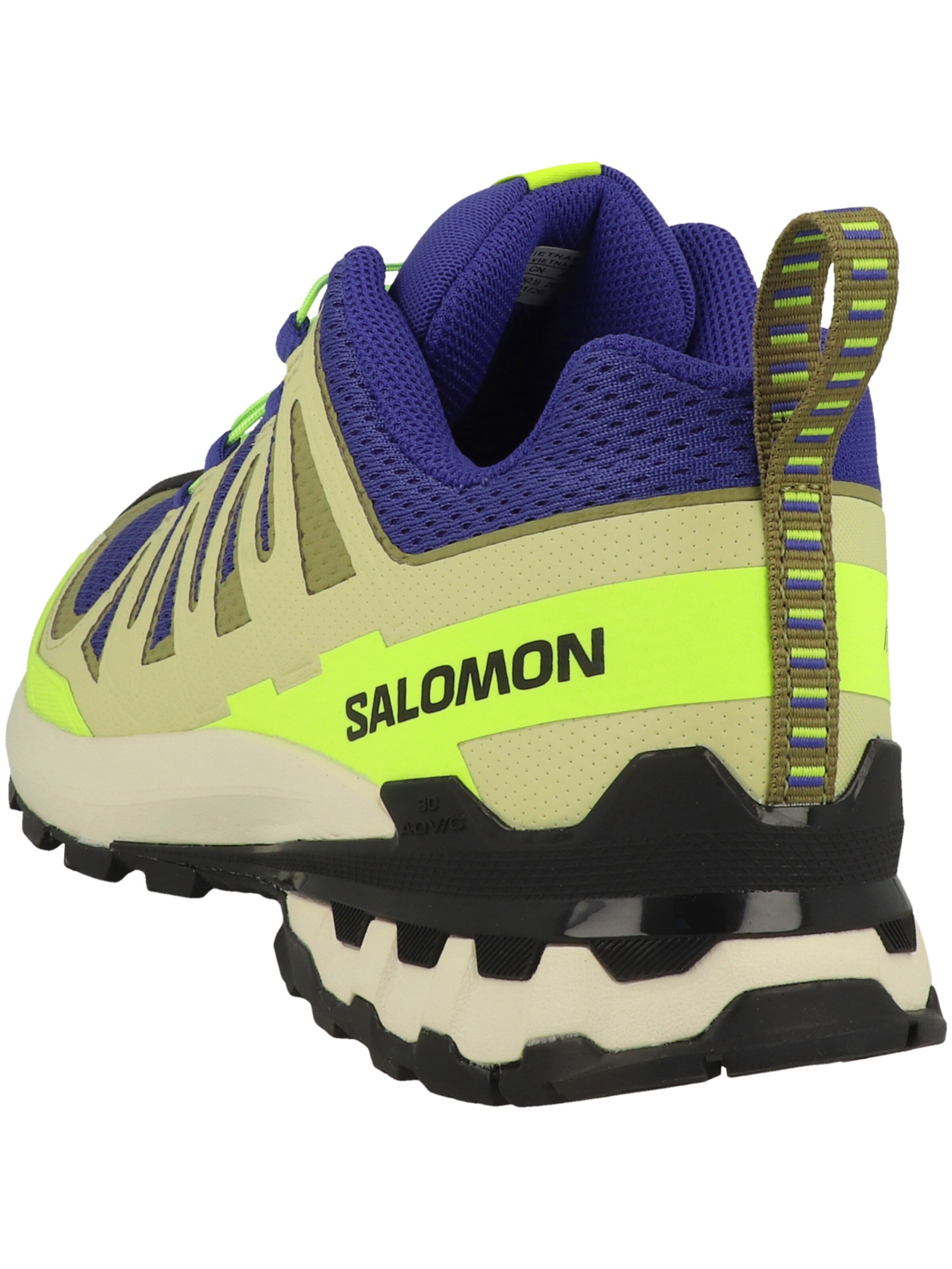 SALOMON Laufschuhe ' XA Pro 3D V9' in Blau: Rückseite
