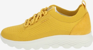 Sneaker bassa di GEOX in giallo