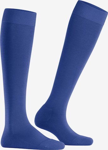 FALKE Knee High Socks 'ClimaWool' in Blue: front