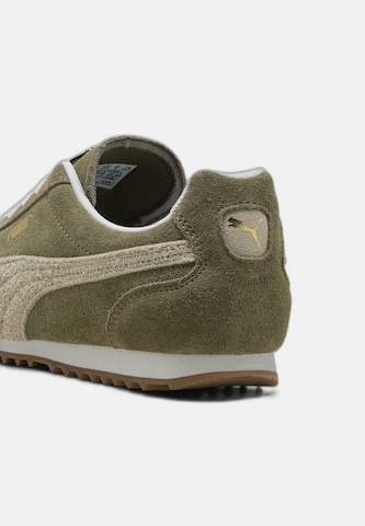 Sneaker low 'Arizona SD' de la PUMA pe verde