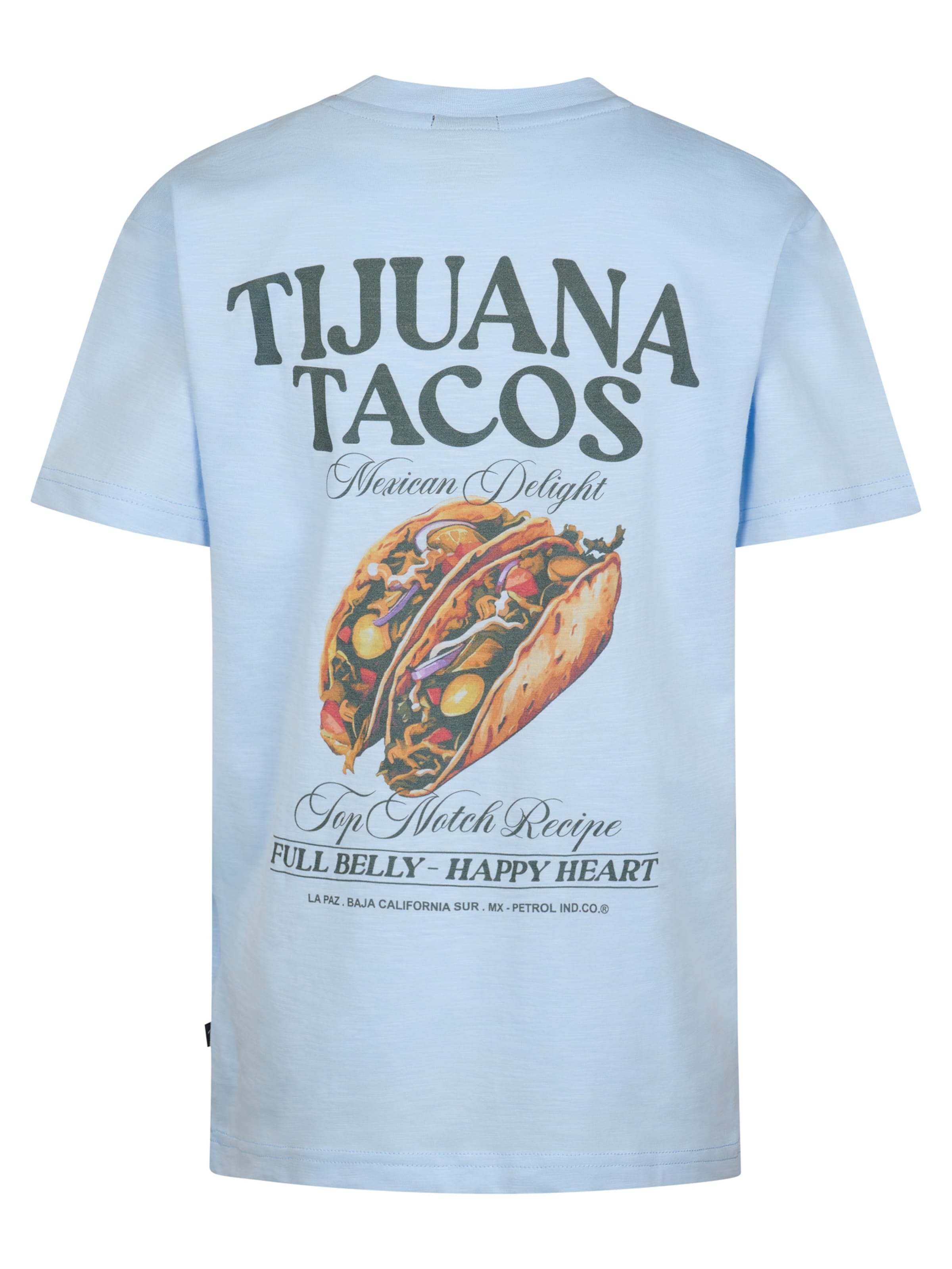 Petrol Industries Shirt in Blue