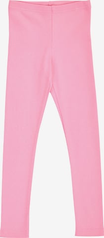 Fred's World by GREEN COTTON Leggings in Pink: Vorderseite