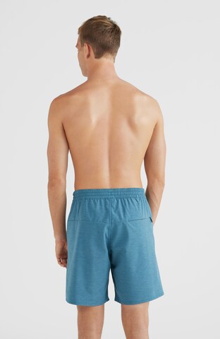 O'NEILL Regular Zwemshorts 'All Day' in Blauw