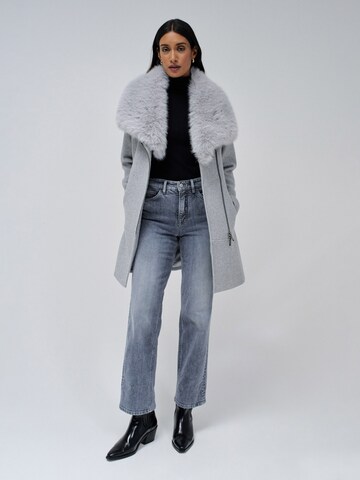 Salsa Jeans Winter coat in Grey