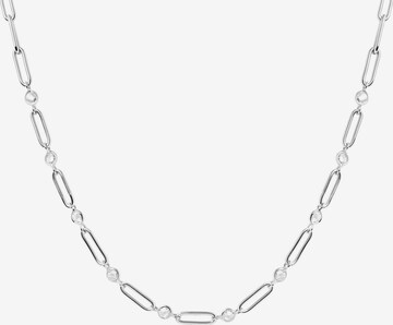 P D PAOLA Necklace in Silver: front