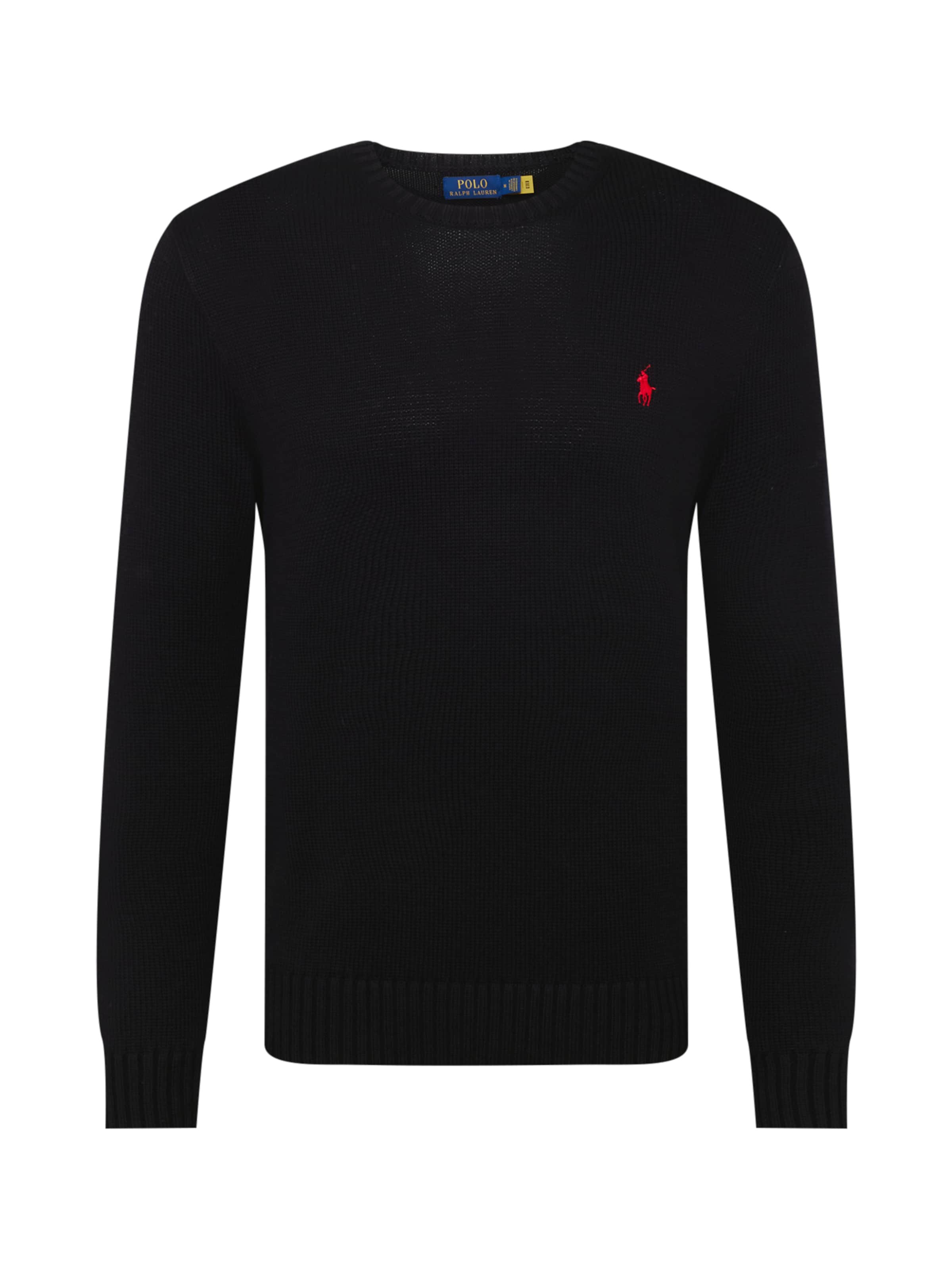Coupe regular Pull-over Polo Ralph Lauren en noir : devant