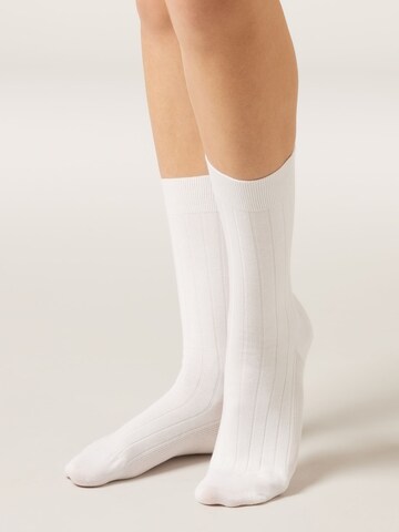 CALZEDONIA Socks in White: front