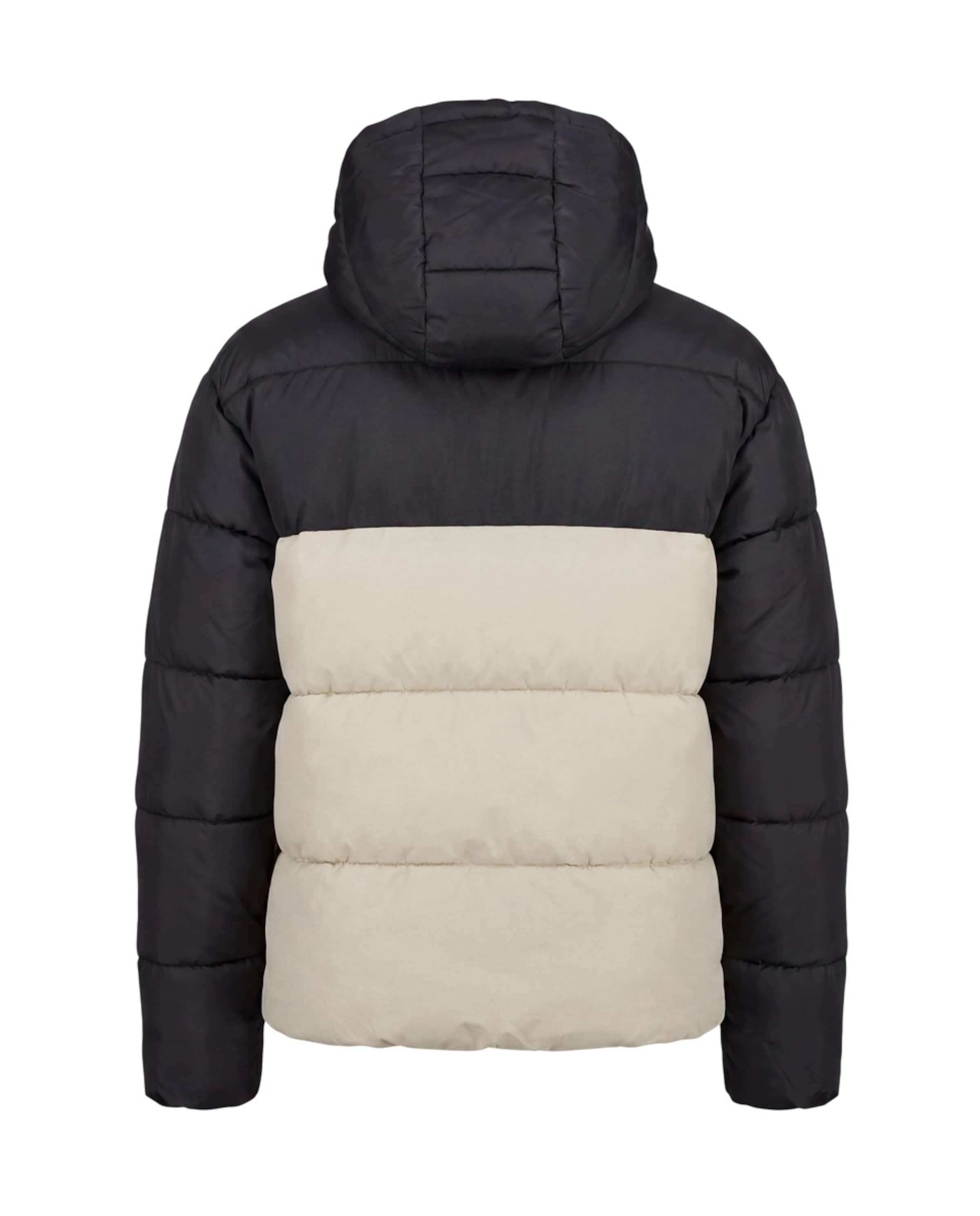 ELLESSE - Chaqueta de invierno 'Ascari 2 Retro' en gris