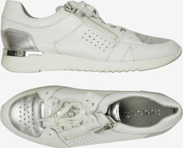 CAPRICE Sneaker 39 in Mischfarben: Vorderseite