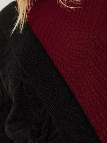 Bianco Lucci Sweater in Red