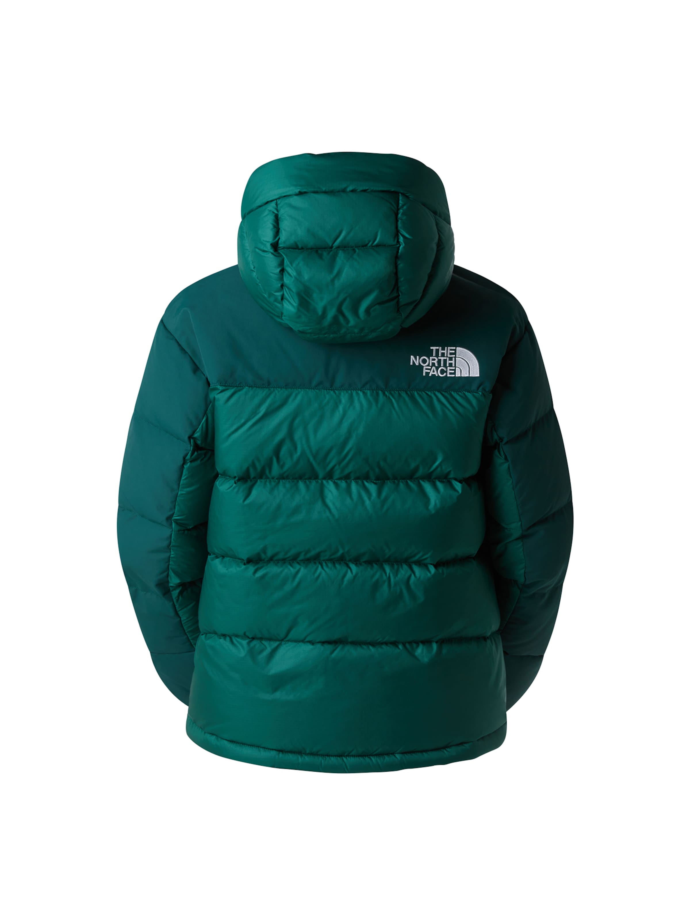 THE NORTH FACE Куртка в спортивном стиле в Зеленый