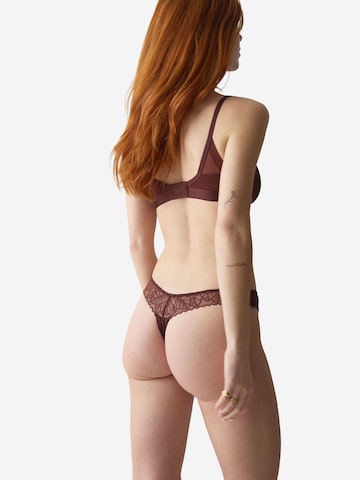 String ' Red Label Pretty Modal ' TRIUMPH en marron