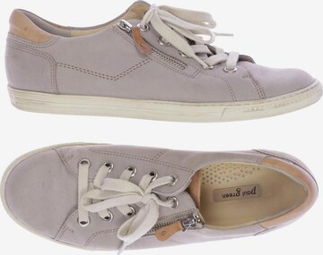 Paul Green Sneakers & Trainers in 39,5 in Grey: front